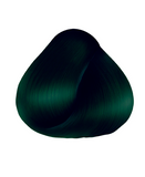 ANVEN TINTE 08 INTENSIFICADOR VERDE 90 GRS.