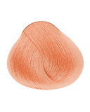 ALFA PARF EVOLUTION TINTE 9.442 (D)