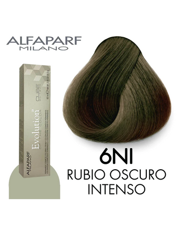 ALFA PARF EVOLUTION TINTE 6NI