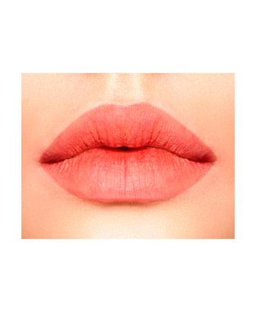 L.A.GIRL MATTE LIPGLOSS GLG831 FANTASY