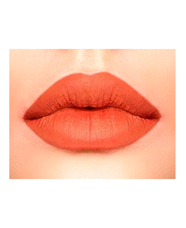 L.A.GIRL MATTE LIPGLOSS GLG833 FLEUR