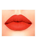 L.A.GIRL MATTE LIPGLOSS GLG840 INSTINCT