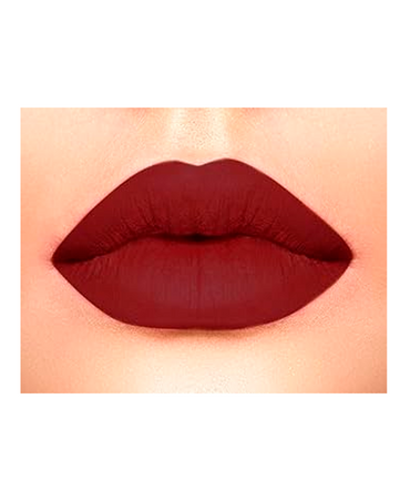 L.A.GIRL MATTE LIPGLOSS GLG842 SECRET