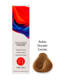 TEC ITALY DESIGNER COLOR P.31