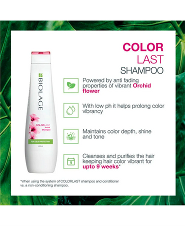 MATRIX BIOLAGE COLORLAST SHAMPOO 250 ML.(D) - El Palacio De La Belleza