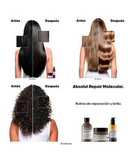 LP LOREAL SERIE EXPERT ABSOLUT REPAIR MOLECULAR DUAL OIL  90 ML. 2025
