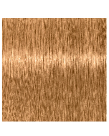SCHWARZKOPF TBH 9-47