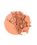 RUBY ROSE SELFIE POWDER RUBY ROSE COMPACT HB-7228 CHOCOLATE 4 (R)