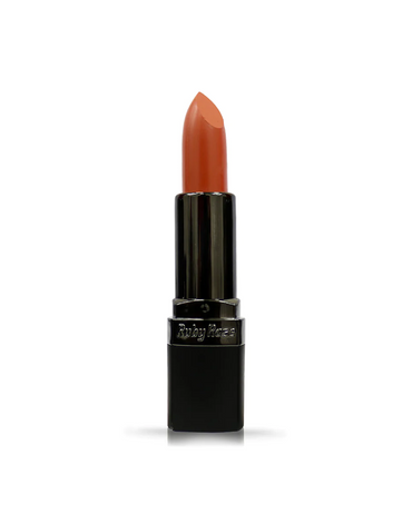 RUBY ROSE MATTE LIPSTICK HB-8518 MATTE 024 G-2