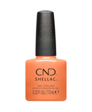 CND SHELLAC 0.25 OZ. 465 DAYDREAMING