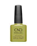 CND SHELLAC 0.25 OZ. 477 PLANTBOUND