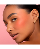 PINK UP BLUSH PKR05 APRICOT