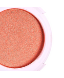 PINK UP BLUSH PKR08 TOAST