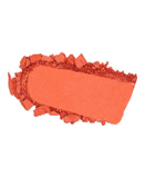 PINK UP BLUSH PKR08 TOAST