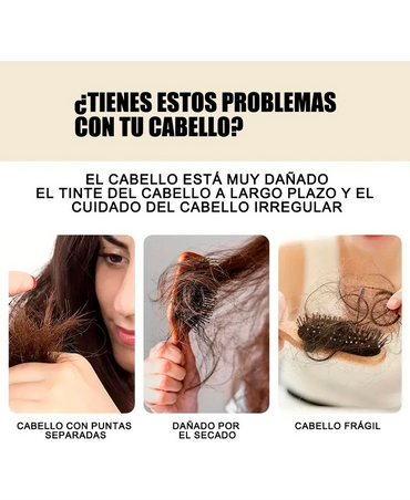 ROCCO FRIZZ OFF SHAMPOO CON KARITE 400 ML.