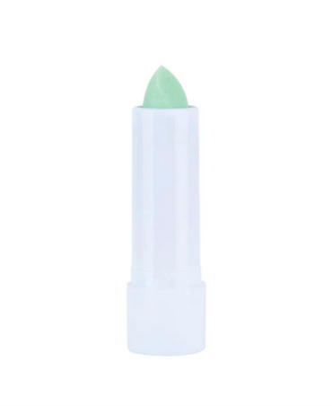RUBY ROSE CARE LIPS SCRUB FUN ESFOLIANTE LABIAL HB-8526 MINT FEVER