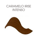 FIESTA AGE DEFENSE TINTE 90 ML. 6.42 CARIN
