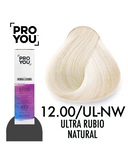 PROYOU PERMANENT COLOR 12.00 90 ML.