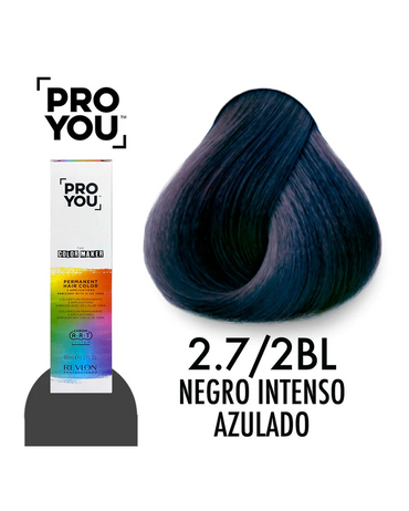 PROYOU PERMANENT COLOR 2.7 90 ML.