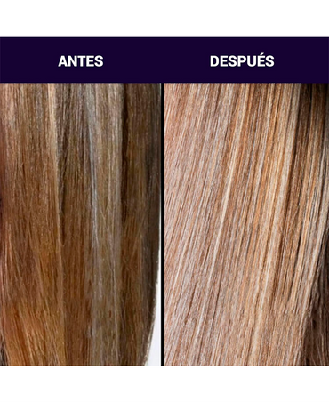 PRAVANA PERFECT BLONDE TONING SHAMPOO 1 LT . 2025