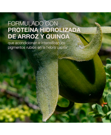 NBC REFLECTS BLONDE CONDITIONER 300 ML.