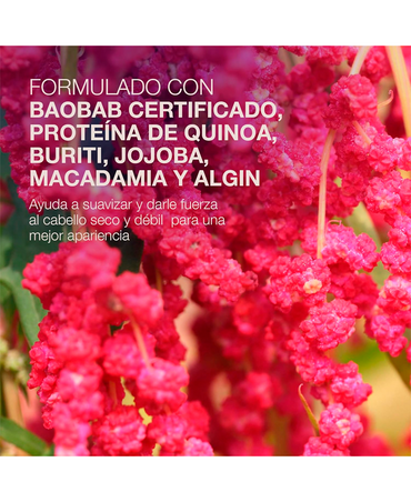 NBC INTERACTIVE TRATAMIENTO NUTRITIVO 300 ML.