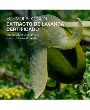 NBC REFLECTS BLONDE LEAVE IN 300 ML.