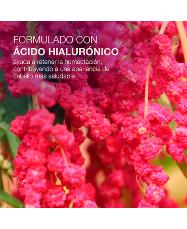 NBC PLACENT REMEDY SHAMPOO 300 ML.