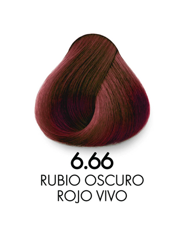 HIDRACOLOR TINTE 90 ML. 6.66