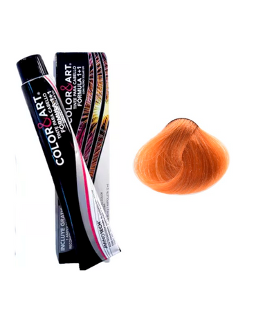 COLOR ART TINTE 90 ML. 8.43