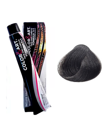 COLOR ART TINTE 90 ML. 2