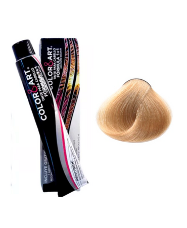 COLOR ART TINTE 90 ML. 9