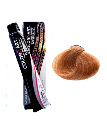 COLOR ART TINTE 90 ML. 8.3