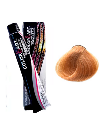 COLOR ART TINTE 90 ML. 9.3