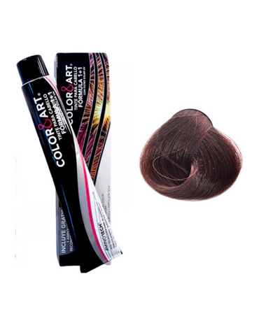 COLOR ART TINTE 90 ML. 6.53