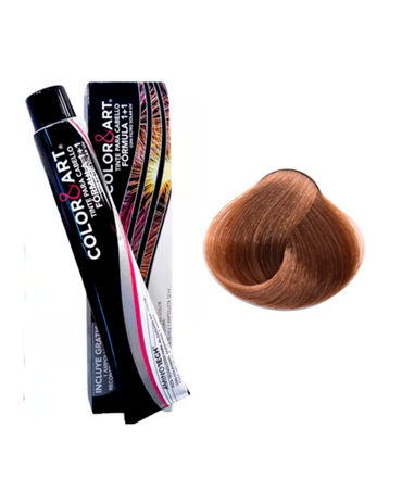 COLOR ART TINTE 90 ML. 7.35