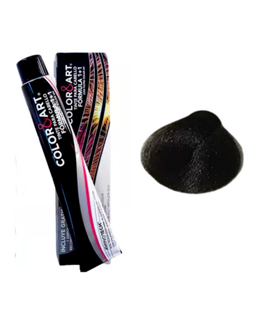 COLOR ART TINTE 90 ML. 3.5
