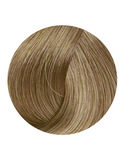 PRAVANA CHROMASILK 9N/9