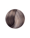 PRAVANA CHROMASILK 8BVbv/8.22