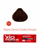 XIOMARA 300 6.53 CHOCOLATE INTENSO