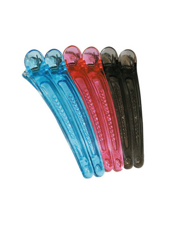 RA ROYAL ACADEMY CLIP PLASTICO TRASLUCIDO 114 MM C/6 PZAS. C006