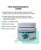 KOLOR SHOT MASCARILLA URBAN CARIBE 120 GRS.