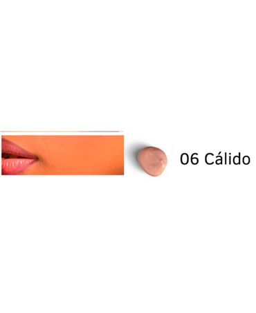 SUESY MAQUILLAJE LIQUIDO TONO 006