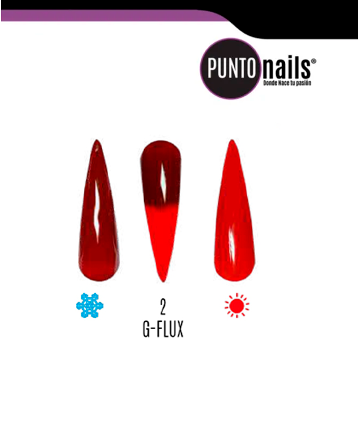 PUNTO NAILS OVER TERMIX G-FLUX 12 ML. TONO 02
