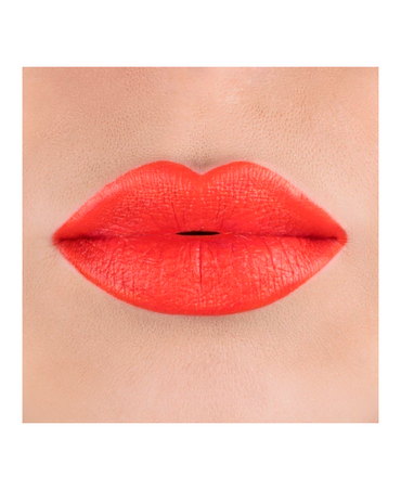PINK UP LIPSTICK LABIAL NUEVO PKLP16 FUNNY - El Palacio De La Belleza