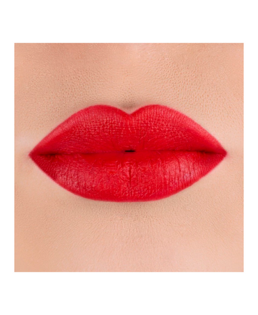 PINK UP LIPSTICK LABIAL NUEVO PKLP19 FLAME - El Palacio De La Belleza