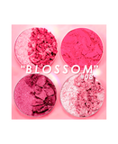 PINK UP INTENSITY GLAM SOMBRA CUARTETO PKCS08 BLOSSOM