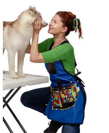FAMILY TOO PET AND CARE AESTHETICAN BLUE LARGE