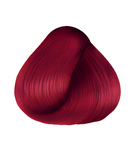 ANVEN TINTE ACENTOS 651 ROJO PASION 90 GRS.