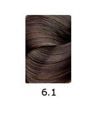 MAJIREL NUEVO 6.1 - El Palacio De La Belleza